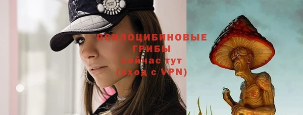 ГАЛЛЮЦИНОГЕННЫЕ ГРИБЫ Алзамай