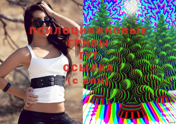 трава Алексин