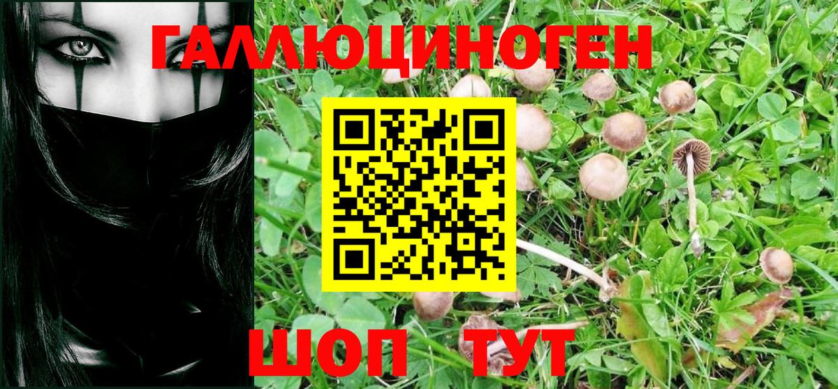Псилоцибиновые грибы MAGIC MUSHROOMS  Вход с VPN  Дзержинский 