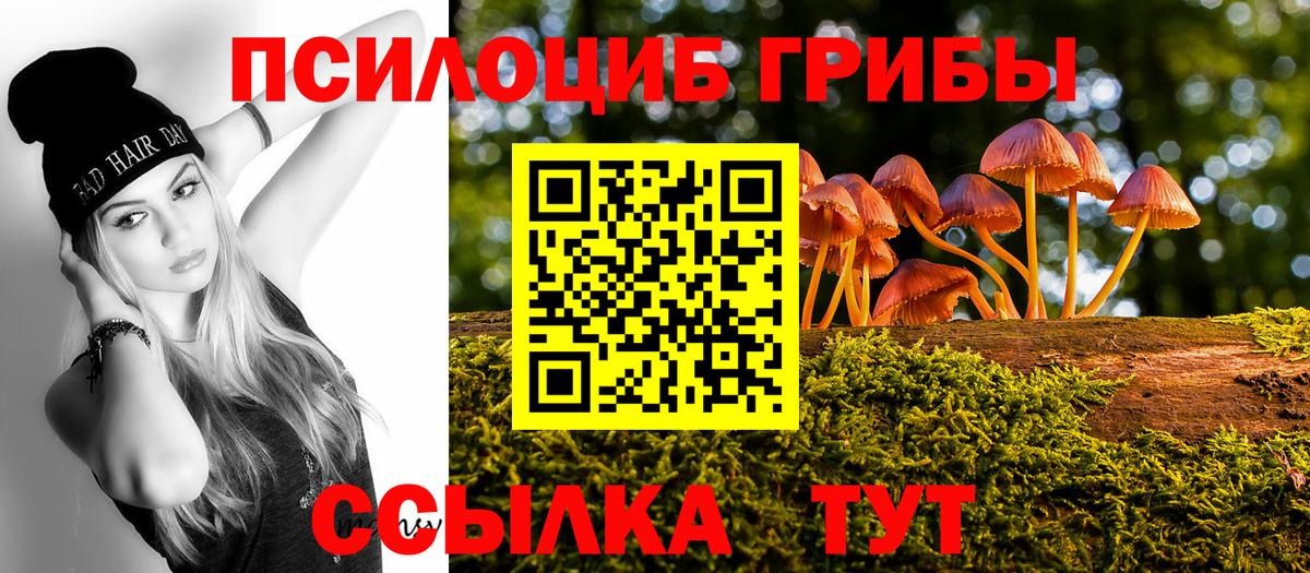 Псилоцибиновые грибы Psilocybine cubensis Дзержинский